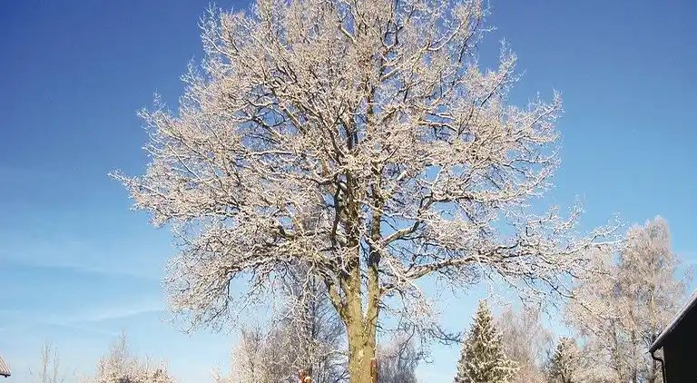 Sommerhus i Kristianstad V