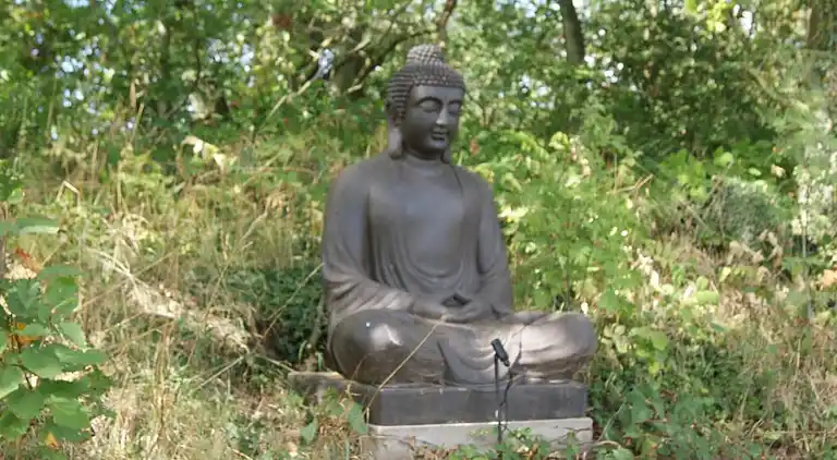 Sommerhus i Simrishamn N