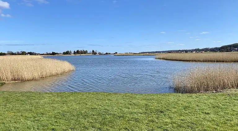 Sommerhus ved Hvidbjerg Strand