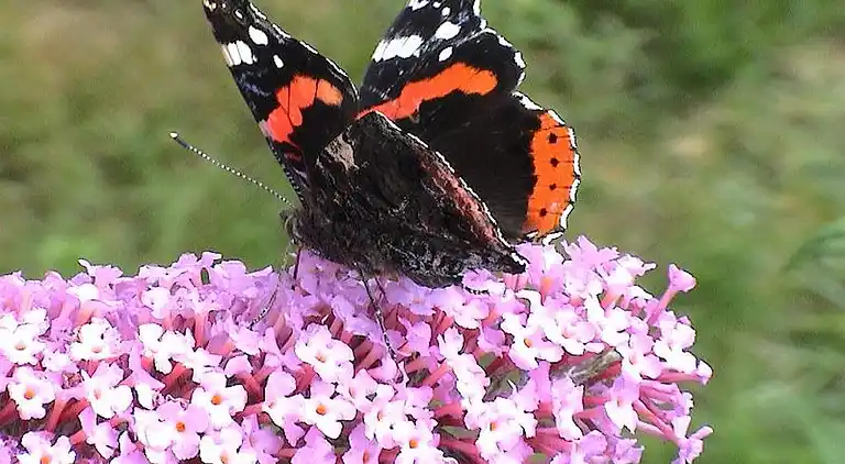 Holiday home in Landvetter