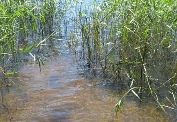Holiday home in Landvetter