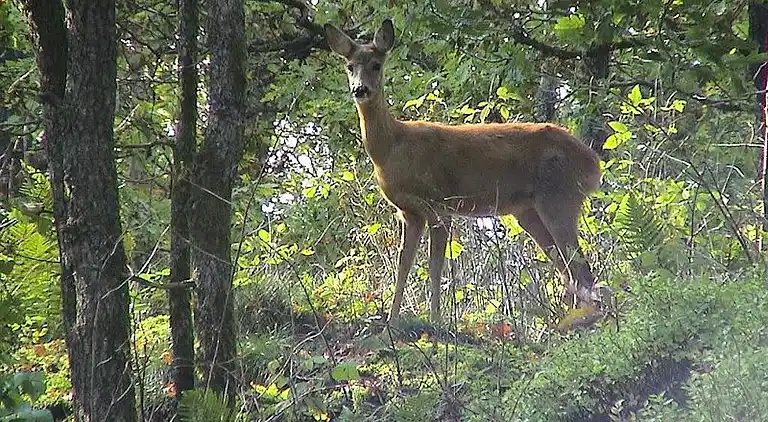 Holiday home in Landvetter