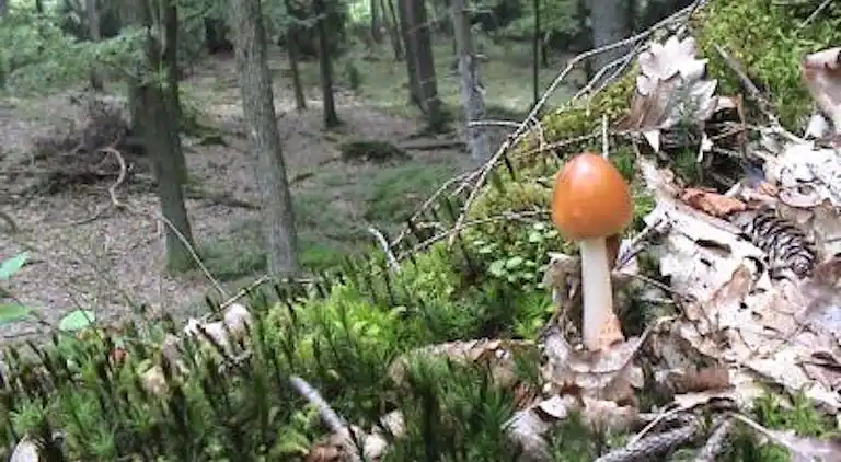 Holiday home in Landvetter