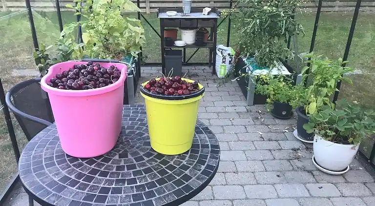 Holiday home in Ballerup