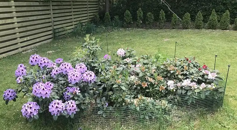 Holiday home in Ballerup