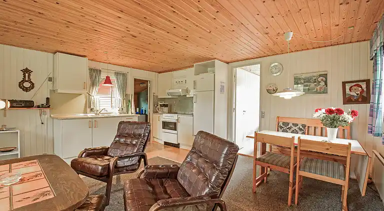 Vakantiehuis in Ulfborg