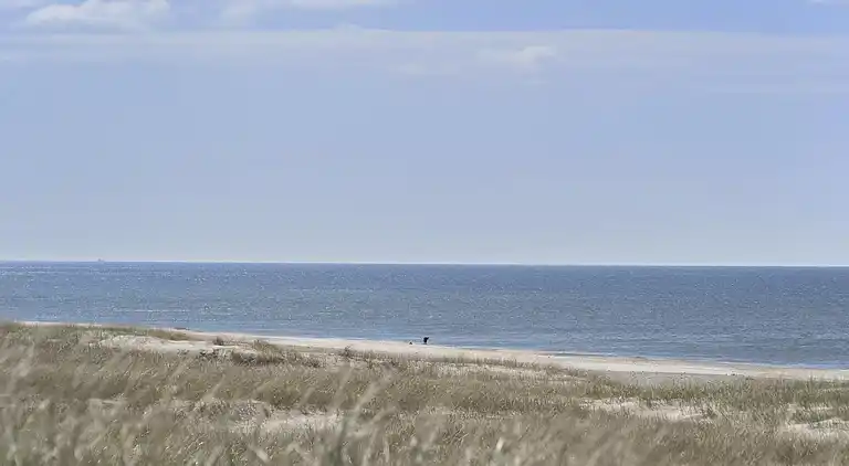 Sommerhus ved Vrist Strand