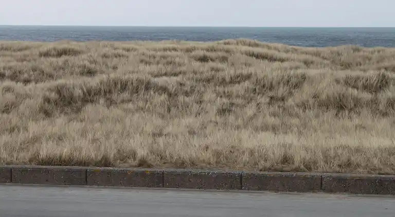 Sommerhus i Thyborøn