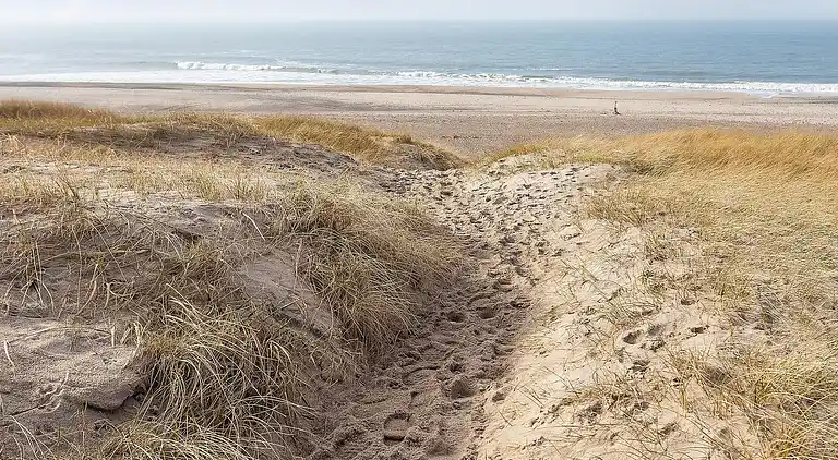 Sommerhus ved Vrist Strand
