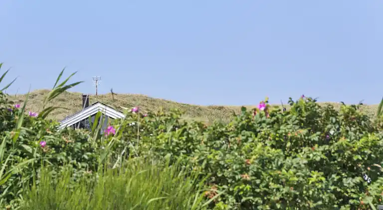 Sommerhus i Harboøre