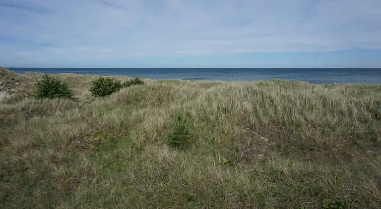Maison de vacances en Ålbæk