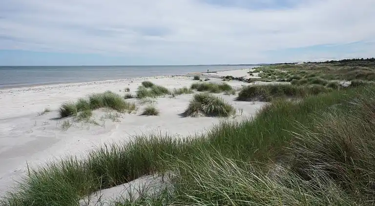 Maison de vacances en Ålbæk