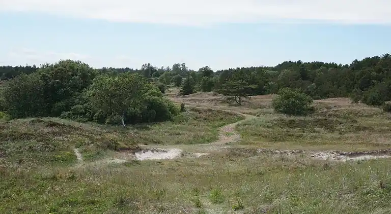 Maison de vacances en Ålbæk