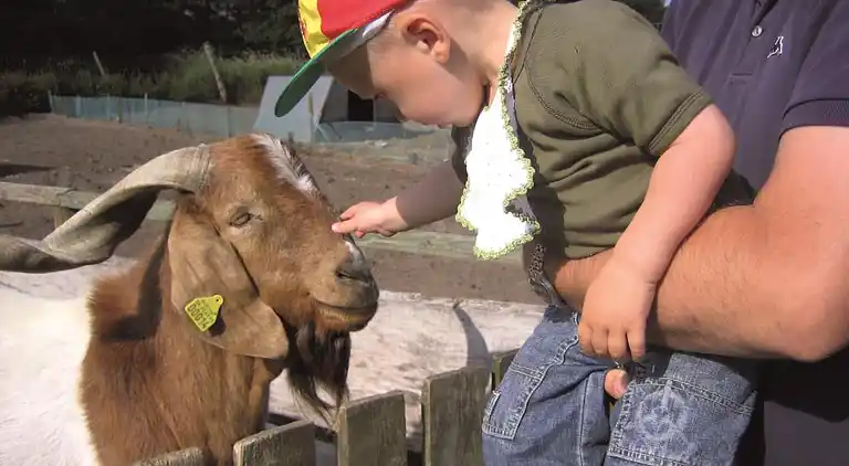 Maison de vacances en Ålbæk