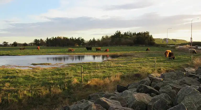 Sommerhus i Nykøbing Mors