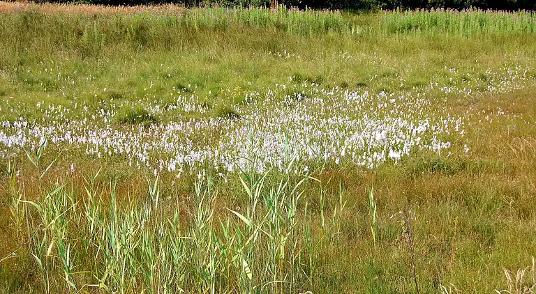 Sommerhus i Nykøbing Mors