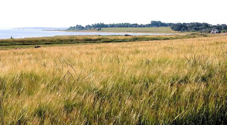 Holiday home in Nykøbing Mors