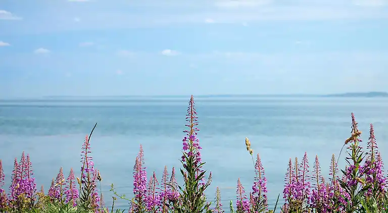 Holiday home in Nykøbing Mors