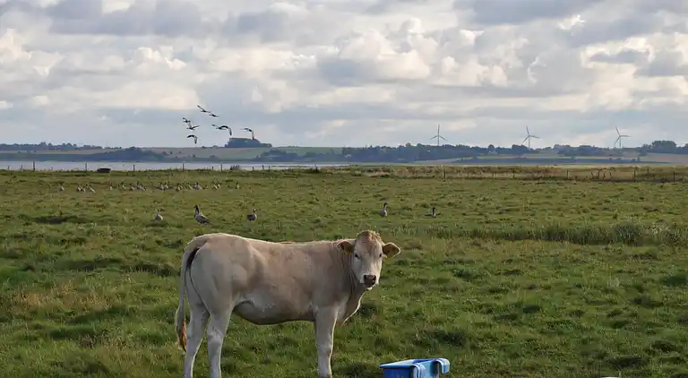 Holiday home in Nykøbing Mors