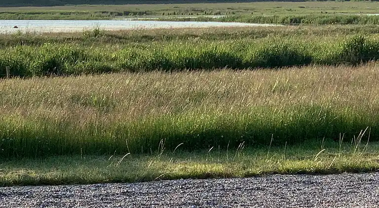 Sommerhus i Øster Assels