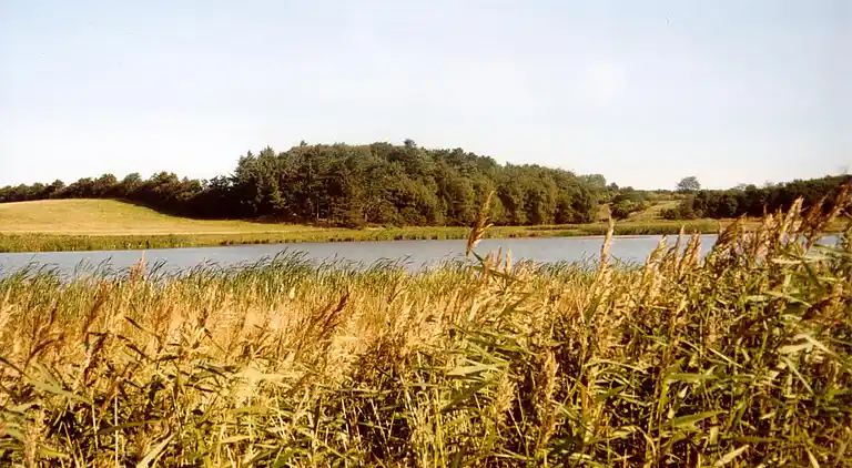 Sommerhus i Nykøbing Mors