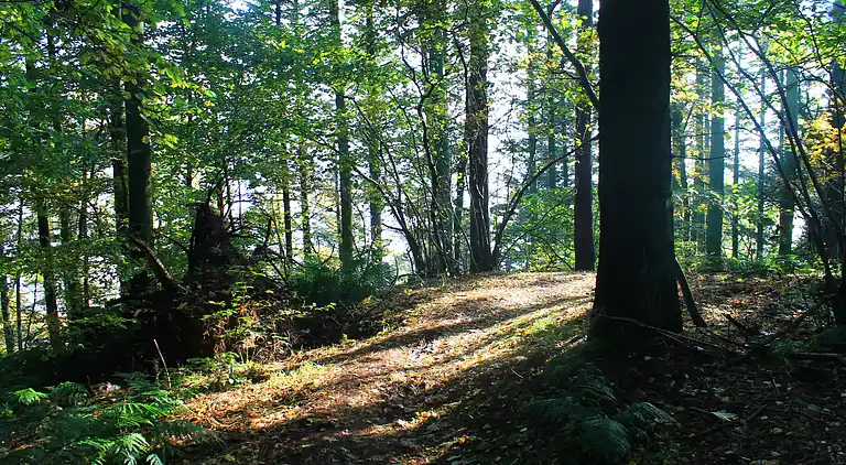 Sommerhus i Nykøbing Mors