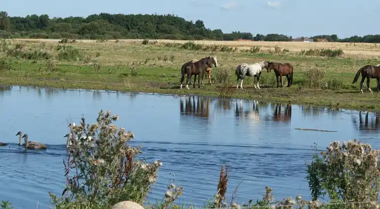 Holiday home in Nykøbing Mors