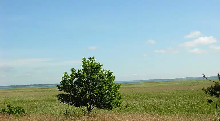 Sommerhus i Øster Assels