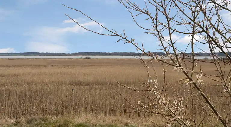Sommerhus i Øster Assels
