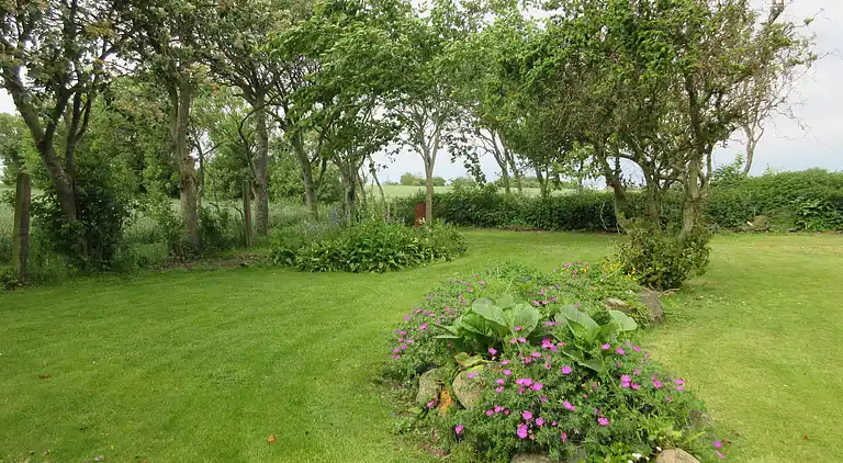 Sommerhus i Øster Assels