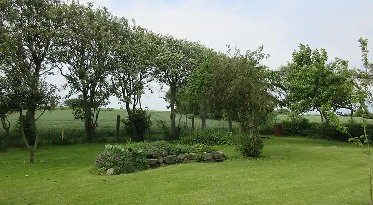 Sommerhus i Øster Assels