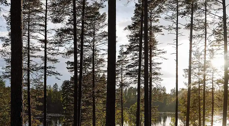 Casa vacanze in Deje