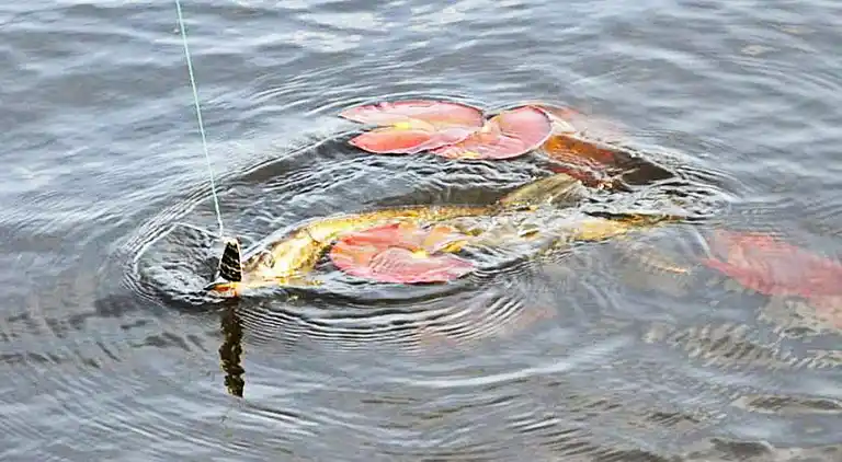 Casa vacanze in Deje