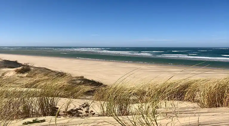 Sommerhus i Biscarrosse Plage