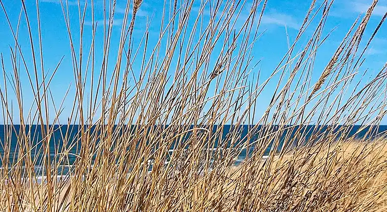 Casa vacanze in Jammerbugt