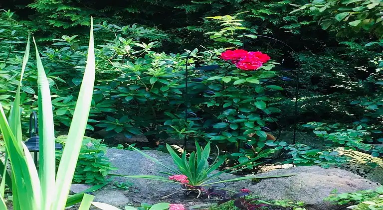 Holiday home in Migi