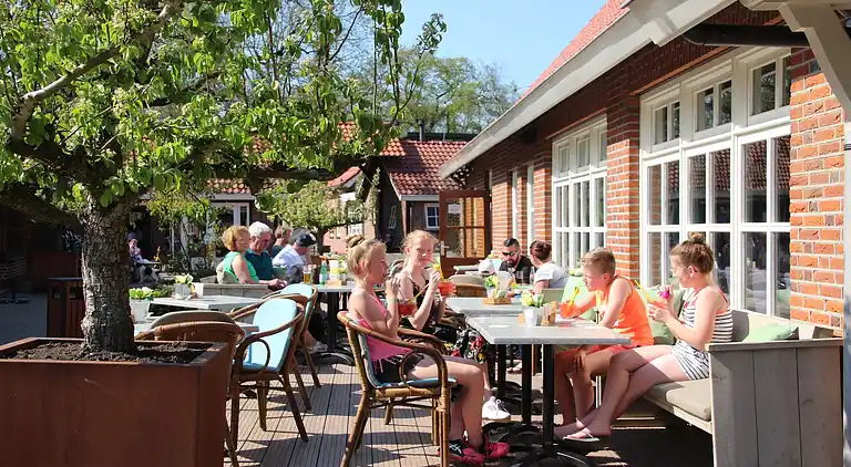 Semesterbostad i Winterswijk Brinkheurne