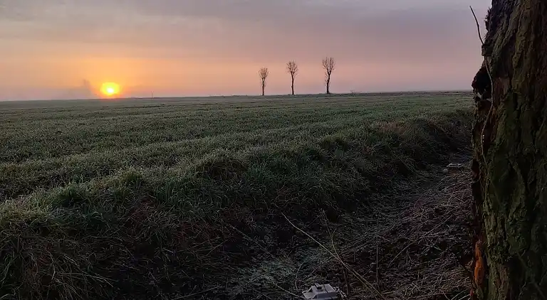 Sommerhus i Zuienkerke