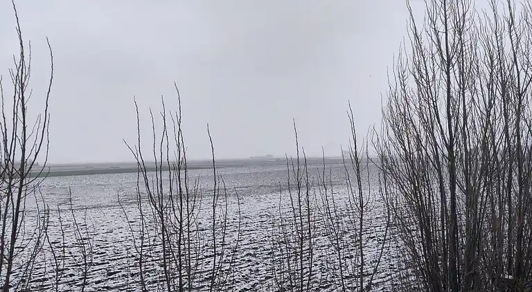 Sommerhus i Zuienkerke