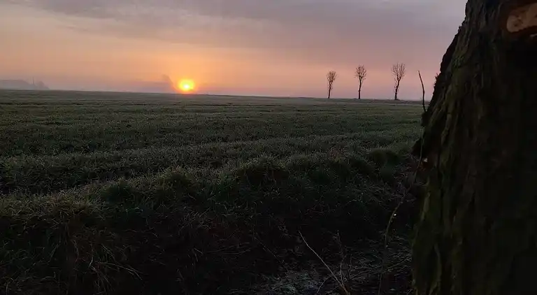 Sommerhus i Zuienkerke