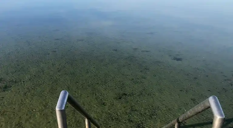 Grandfathers cottage