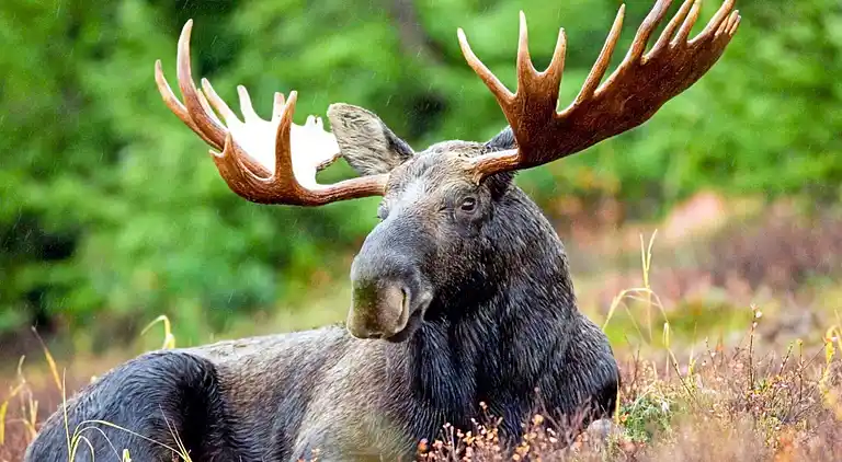 Holiday home in Norrtälje N