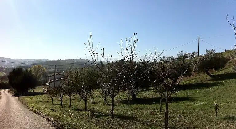 Holiday home in Picciano