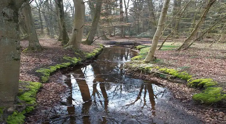 Cottage in Winsen an der Aller