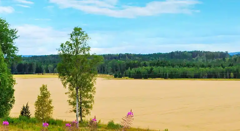 Vakantiehuis in Gårdserud