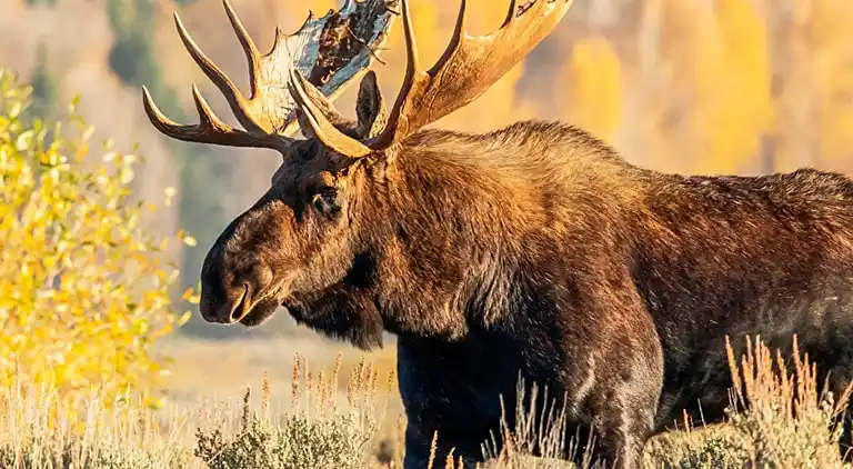 Vakantiehuis in Gårdserud