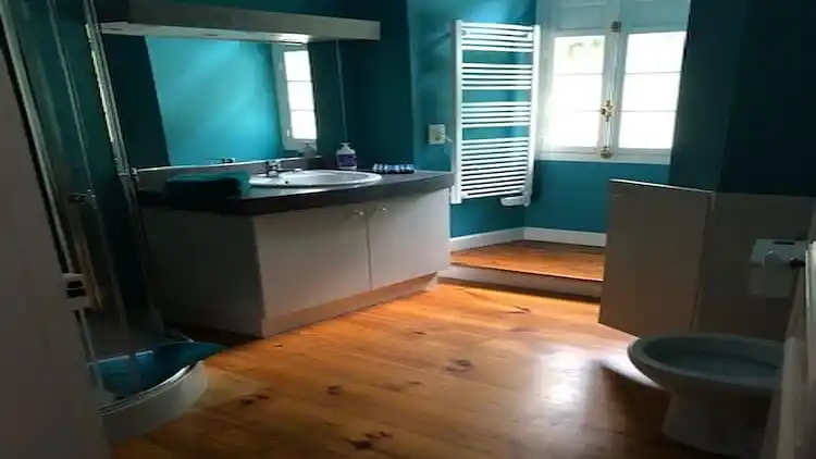 Castle in Serrières-en-Chautagne