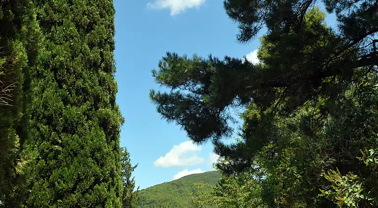 19th century Villa - pool, culture and relax