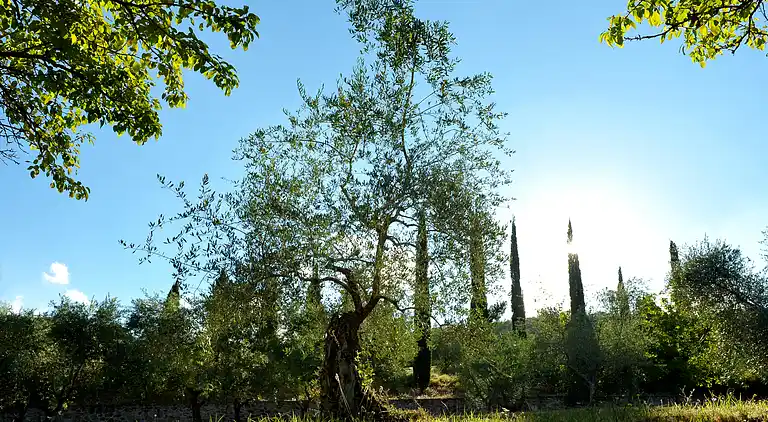 19th century Villa - pool, culture and relax