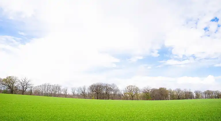 Holiday home in Ulestraten